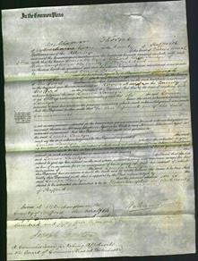 Court of Common Pleas - Louisa Tamlyn-Original Ancestry