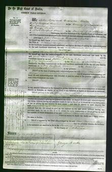 Court of Common Pleas - Rose Hannah Kemp-Original Ancestry