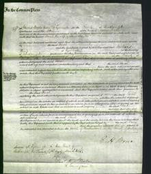 Court of Common Pleas - Sarah Samber-Original Ancestry