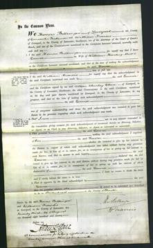 Court of Common Pleas - Laura Moon-Original Ancestry