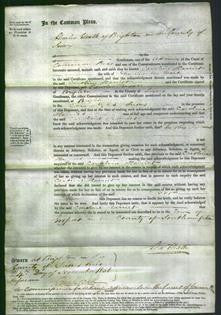 Court of Common Pleas - Caroline Harriet Ward-Original Ancestry