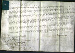 Court of Common Pleas - Mary Whinham-Original Ancestry