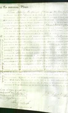 Court of Common Pleas - Anne Powell-Original Ancestry