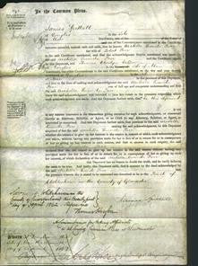 Court of Common Pleas - Arabella Lucinda Parr-Original Ancestry