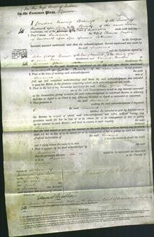 Court of Common Pleas - Susanna Taylor-Original Ancestry