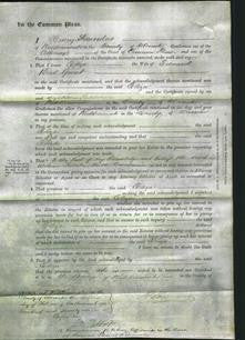 Court of Common Pleas - Eliza Guest-Original Ancestry