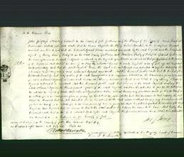 Court of Common Pleas - Elizabeth Arimdale-Original Ancestry