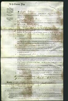 Court of Common Pleas - Antonia Maria Chapman-Original Ancestry