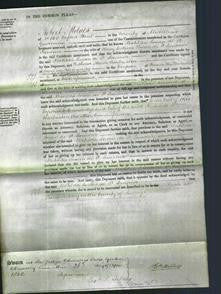 Court of Common Pleas - Matilda Susan De St. Sauveur-Original Ancestry