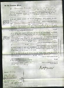 Court of Common Pleas - Ann Rebecca Madeley-Original Ancestry