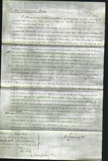 Court of Common Pleas - Fanny Finney-Original Ancestry