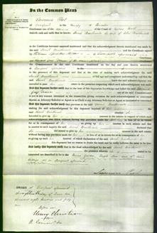 Court of Common Pleas - Sarah Braithwaite-Original Ancestry