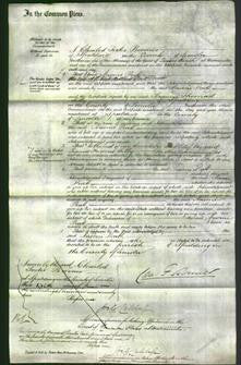 Court of Common Pleas - Naomi Pratt-Original Ancestry