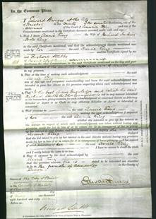 Court of Common Pleas - Annie King-Original Ancestry