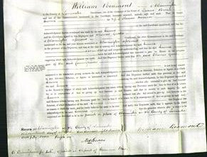 Court of Common Pleas - Emma Morrison-Original Ancestry