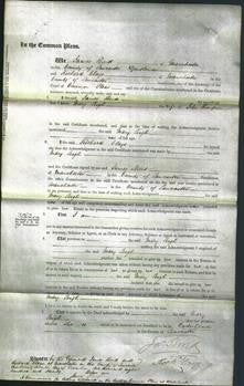 Court of Common Pleas - Mary Leigh Thompson-Original Ancestry