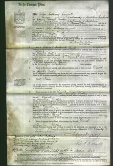 Court of Common Pleas - Dinah Smith-Original Ancestry