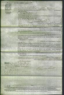 Court of Common Pleas - Ann Hudson-Original Ancestry