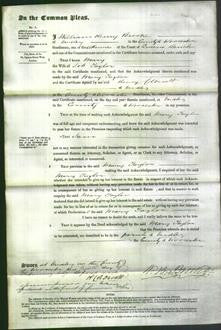 Court of Common Pleas - Mary Taylor-Original Ancestry