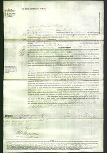 Court of Common Pleas - Alice Beardmore-Original Ancestry