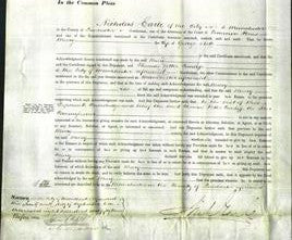 Court of Common Pleas - Mary Stott-Original Ancestry