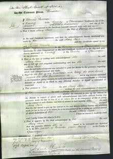 Court of Common Pleas - Mary Jane Richards-Original Ancestry