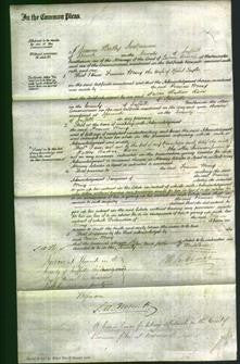 Court of Common Pleas - Frances Mary Taylor-Original Ancestry