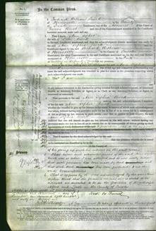 Court of Common Pleas - Ann Sophia Rivett-Original Ancestry