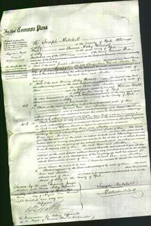 Court of Common Pleas - Ann Fish and Martha Garlick-Original Ancestry