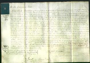 Court of Common Pleas - Ann Jewell-Original Ancestry