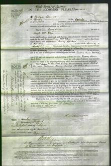 Court of Common Pleas - Mary Ann McGhee-Original Ancestry