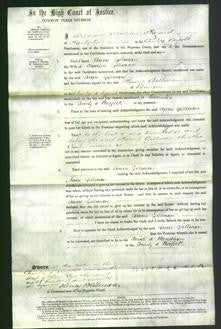 Court of Common Pleas - Anne Gillman-Original Ancestry