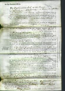 Court of Common Pleas - Mary Ann Pearce-Original Ancestry