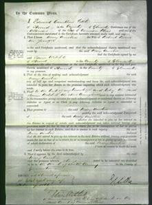 Court of Common Pleas - Mary Amelia Berrie-Original Ancestry