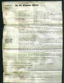 Court of Common Pleas - Hannah Wheatcroft-Original Ancestry