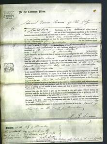 Court of Common Pleas - Henrietta Louisa Wedderburn-Original Ancestry