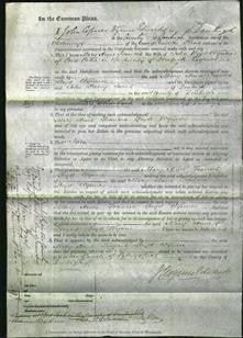Court of Common Pleas - Mary Anne Frances Wynne-Original Ancestry