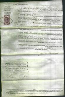 Court of Common Pleas - Sarah Prior-Original Ancestry