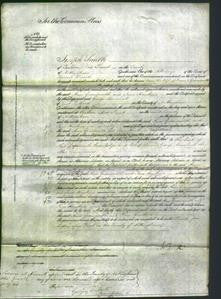 Court of Common Pleas - Ann Greensmith and Jane Hawkins-Original Ancestry