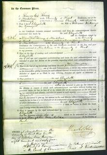 Court of Common Pleas - Elizabeth Wickings-Original Ancestry