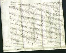Court of Common Pleas - Sarah Tummins-Original Ancestry