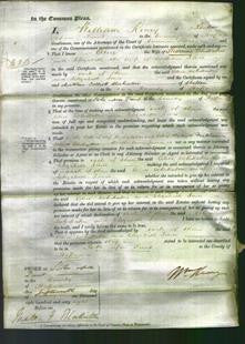 Court of Common Pleas - Alice Whittaker and Elizabeth Jones-Original Ancestry