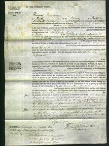 Court of Common Pleas - Henrietta Beatson-Original Ancestry