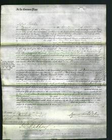 Court of Common Pleas - Jane Pursley, Mary Ann Pursley and Agnes Crocker Chaffe-Original Ancestry