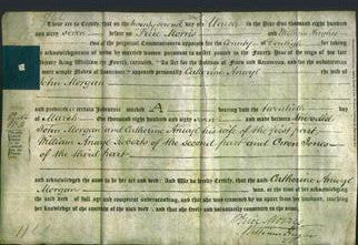 Deed by Married Women - Catherine Anwyl Morgan-Original Ancestry