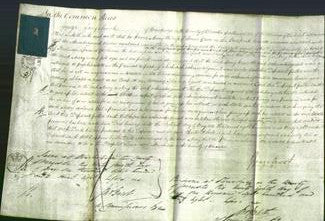 Court of Common Pleas - Mary Green-Original Ancestry
