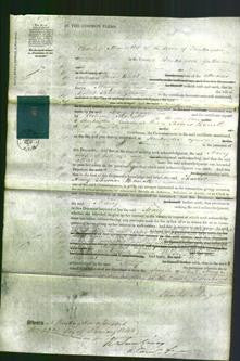 Court of Common Pleas - Mary Garner-Original Ancestry