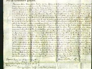 Court of Common Pleas - Louisa Jones-Original Ancestry