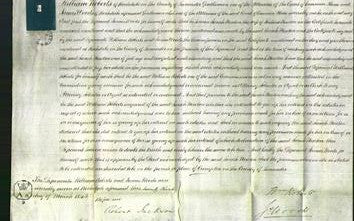 Court of Common Pleas - Sarah Newton-Original Ancestry