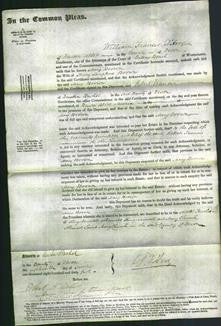 Court of Common Pleas - Mary Brown-Original Ancestry